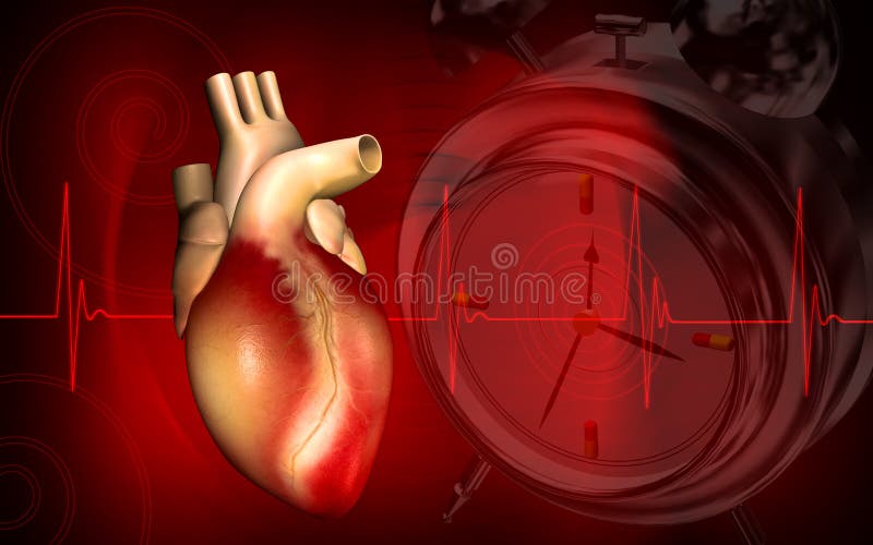 Heart stock illustration