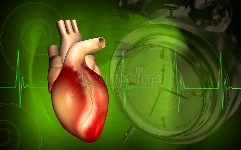 Heart vector illustration