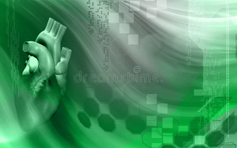 Heart vector illustration