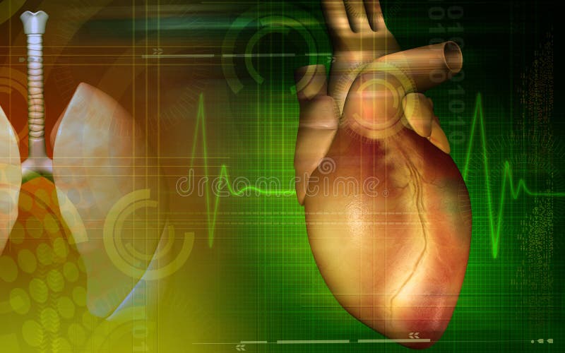 Heart stock illustration