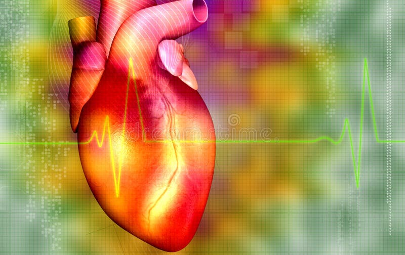 Heart stock illustration