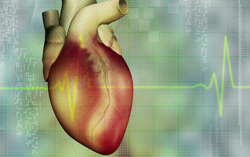 Heart vector illustration