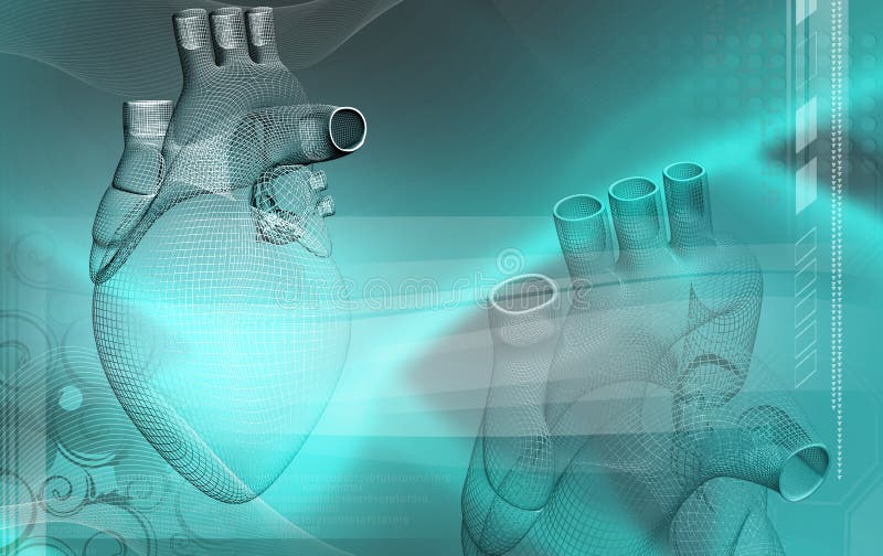 Heart royalty free illustration