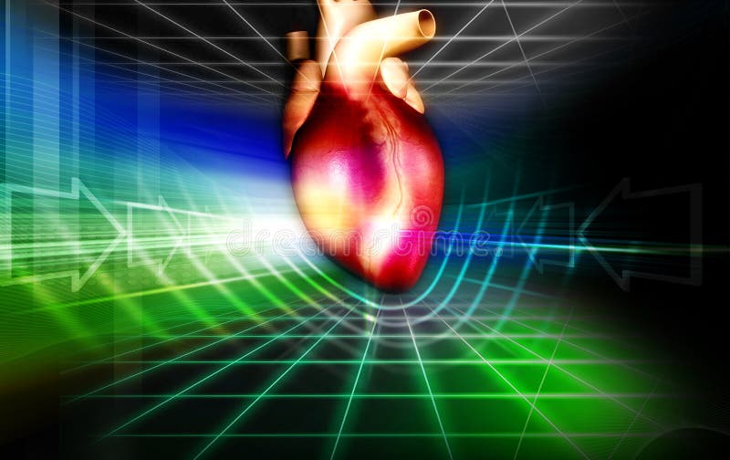 Heart vector illustration