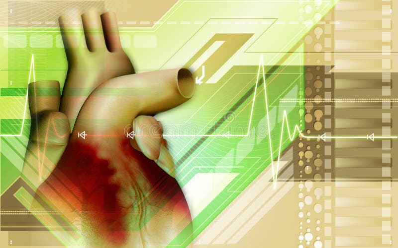 Heart vector illustration