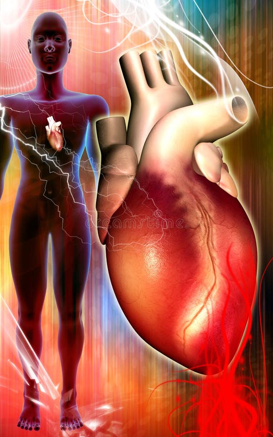 Heart stock illustration