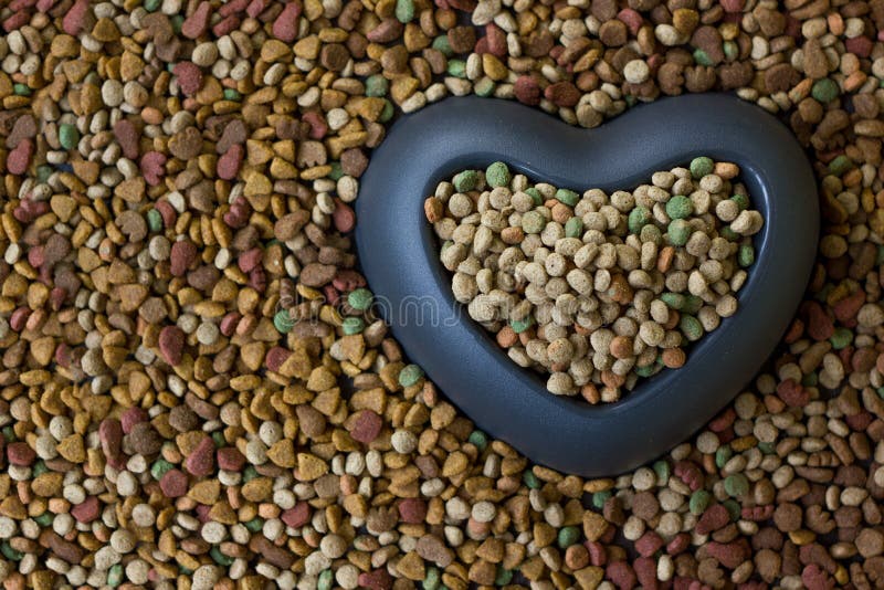 Heart Bowl Filled by Dry Pet Food Stock Image Image of nutrition