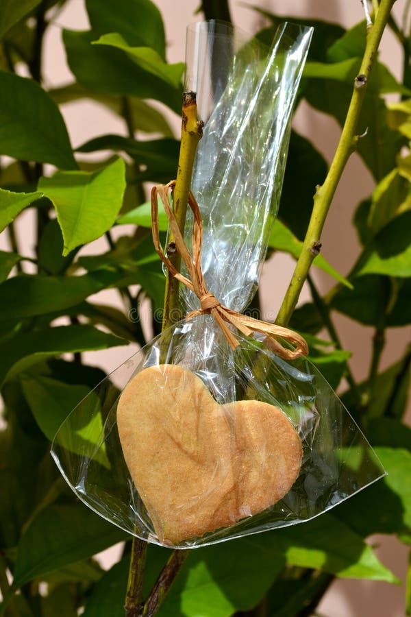 Heart Cookie growing on a tree