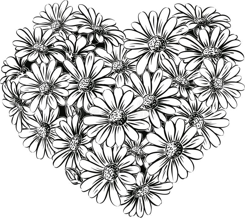 Heart and daisies stock illustration. Illustration of bloom 19515187