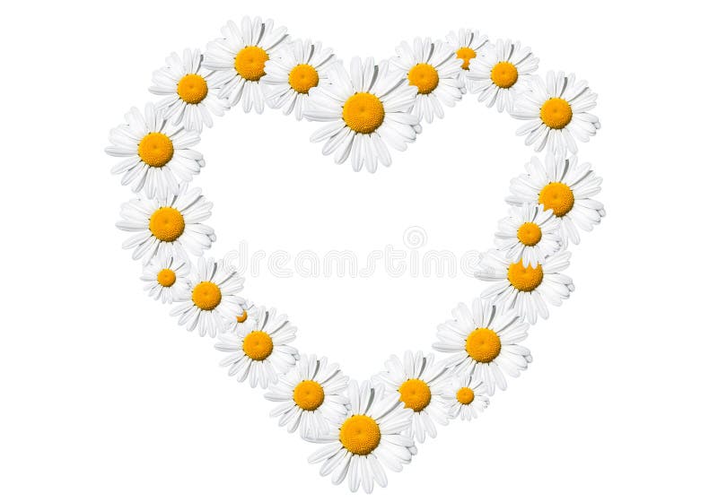 Heart of daisies stock photos Heart of daisies stock photos