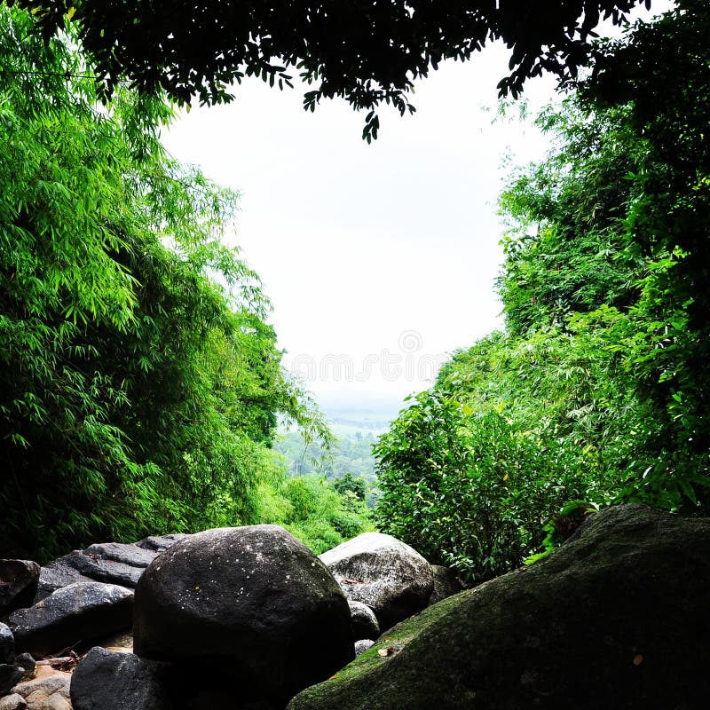 Heart-shaped Clearing In A Forest Stock Image - Image of clouds