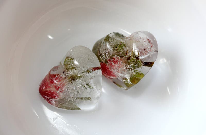 Frozen Flower Inside Ice Heart Stock Image Image of abstract, form