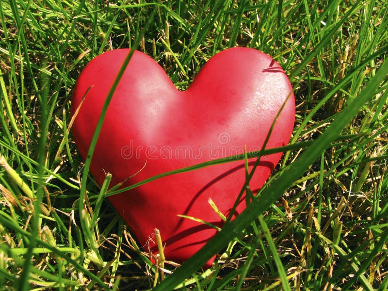 Heart hiding in the grass