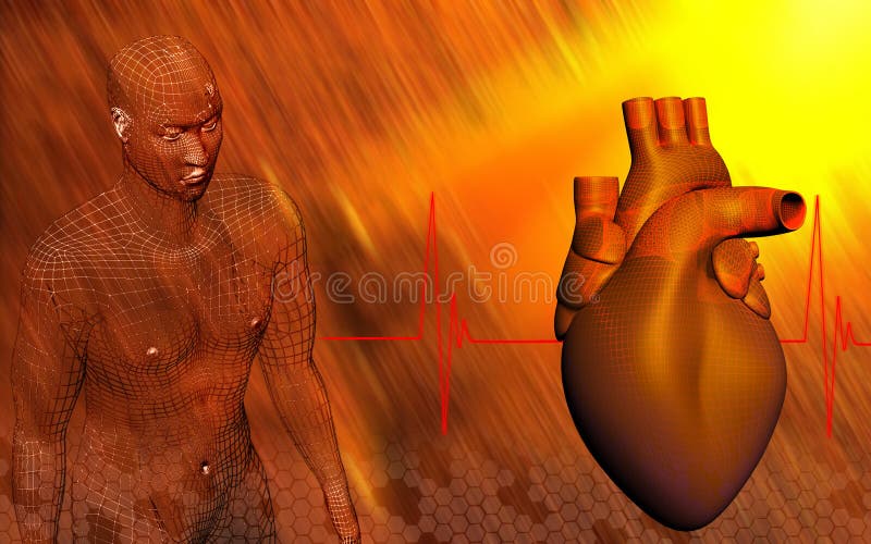 Heart and human body royalty free illustration