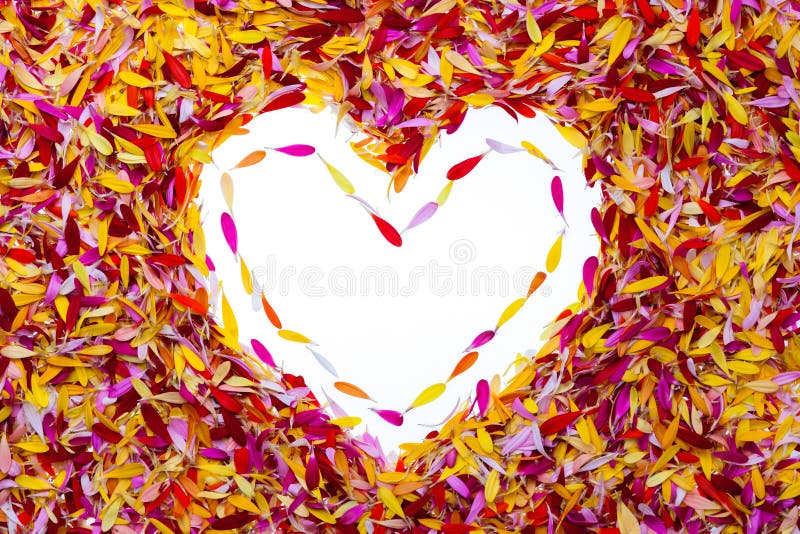 A heart inside of petals stock photography