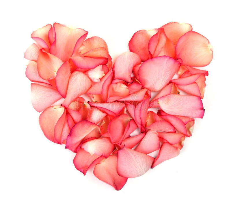 Heart made of petals of roses stock image