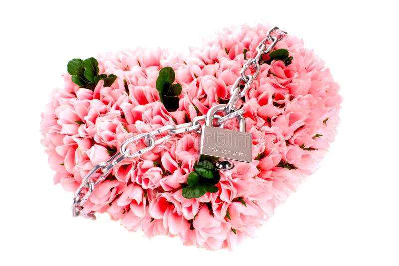 Heart made of roses locked on lock isolated