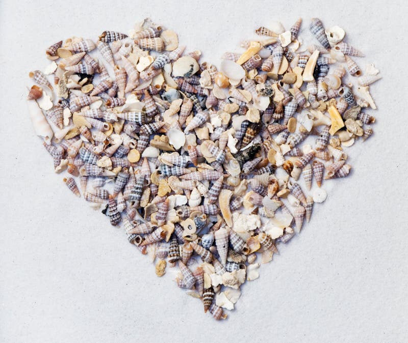 Heart made from sea shells