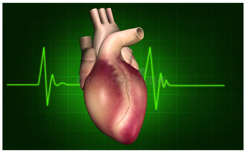 Heart and pulse royalty free illustration