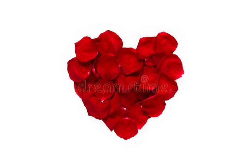 Red Rose Flower Petals Spa Aromatherapy Stock Photo - Image of skin ...