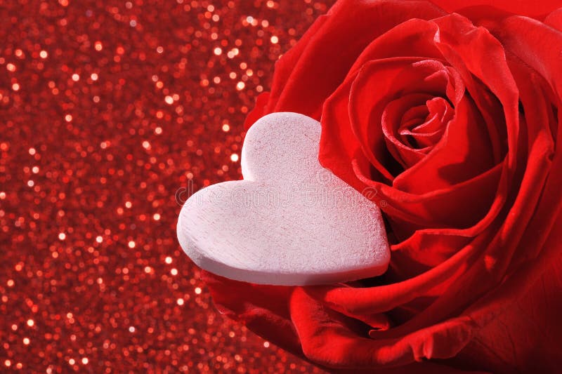 Heart with rose stock image. Image of sparkle, rose, passion - 43425175