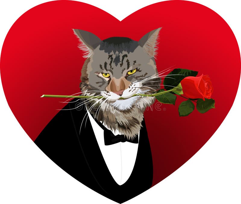 Heart Shape Cat  And A Red  Rose  Royalty Free Stock Photos 