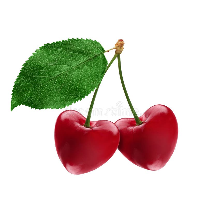Heart shape cherries stock photo. Image of happy, valentine 24472260