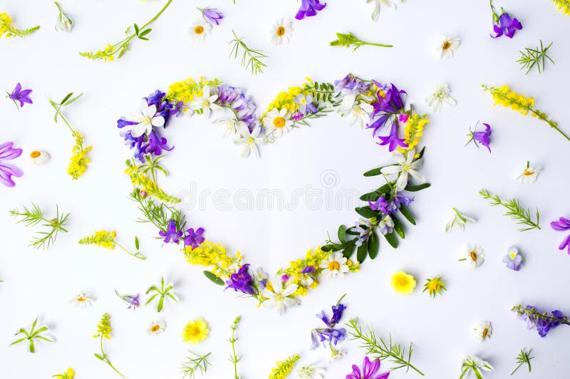 Heart shape made of colorful wildflowers on white