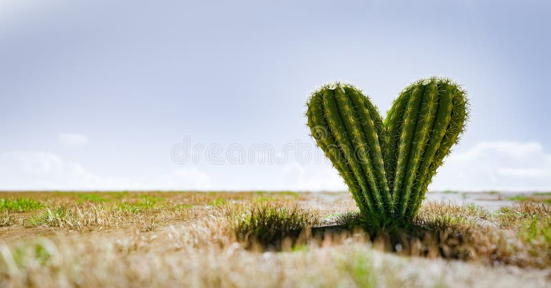 Heart Shaped Cactus on Desert. Concepts of Love, Feeling Lonely, Love Hurts  Stock Illustration - Illustration of cactus, shape: 220434454