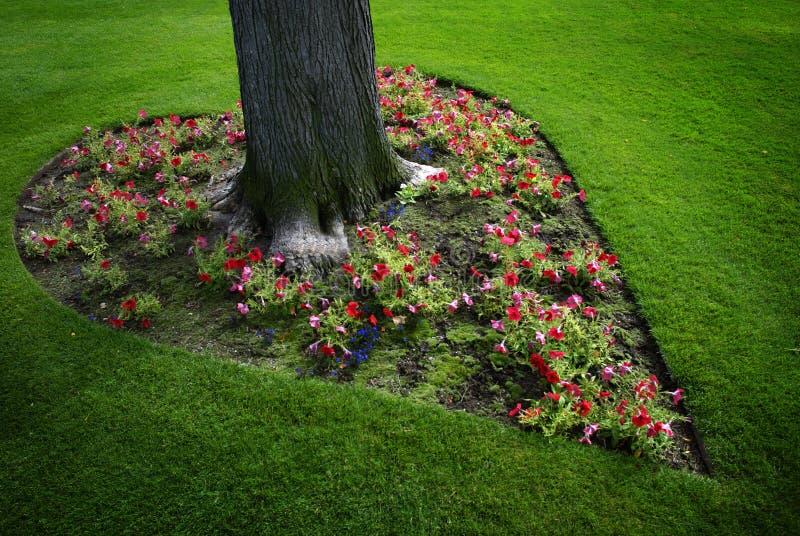 Heart Shaped Flower Garden Around Tree royalty free stock images