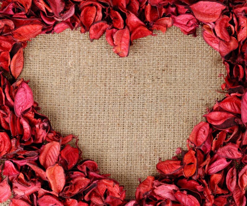 Heart shaped frame made from red petals royalty free stock images Heart shaped frame made from red petals royalty free stock images