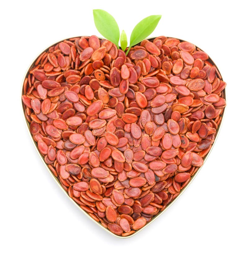 Heart Shaped Melon Seeds Royalty Free Stock Photography Image 23212887