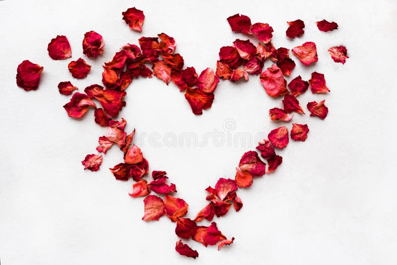 Heart-shaped pink flower petals on white background for postcard stock photo Heart-shaped pink flower petals on white background for postcard stock photo