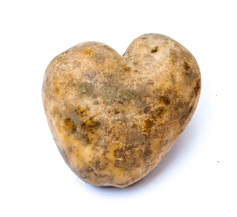 Heart Shaped Potato on White Background Stock Image - Image of shape, solanum: 8
