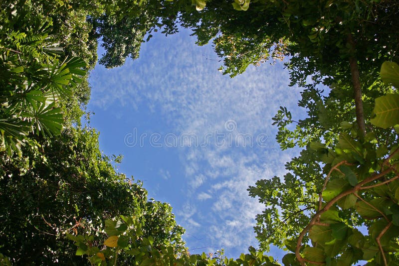 Heart-shaped Sky