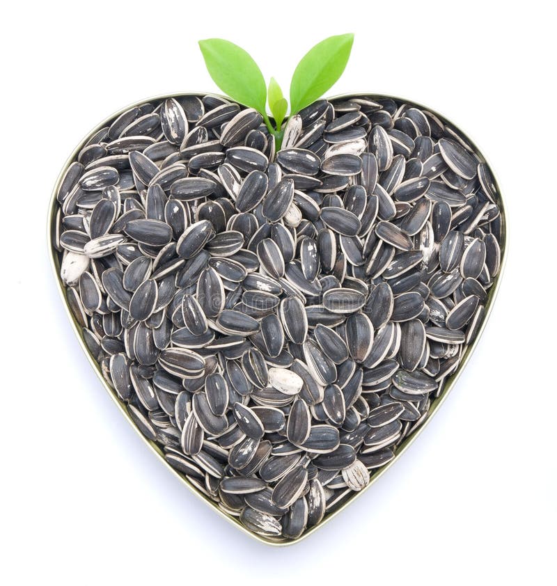 Heart Shaped Sunflower Seeds Stock Image Image of edible, shaped