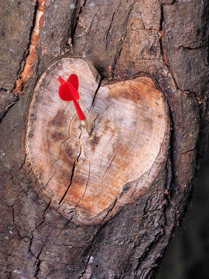 Download Heart Shaped Tree Branch Cutoff In Natural Color With A ...