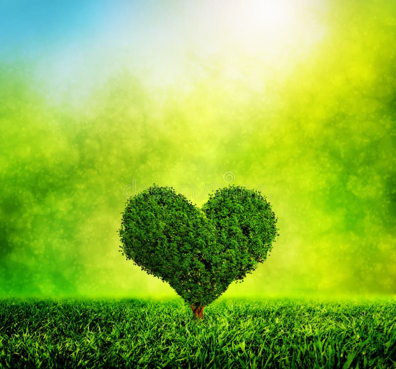 Heart shaped tree growing on green grass. Love