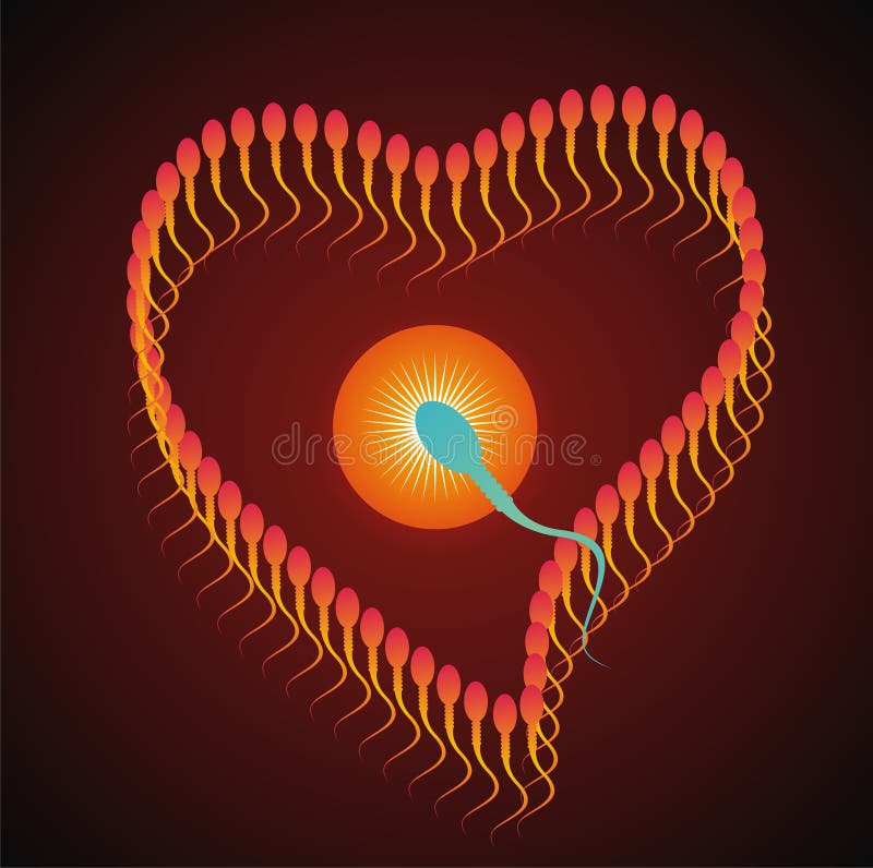 Heart Of Sperm