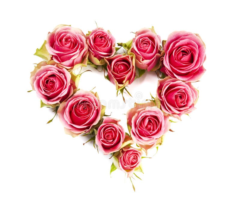 Heart symbol made of fresh pink-red Rose flowers isolated on white background. Love concept for Valentines and Mothers Day.