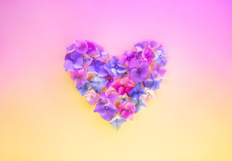 Heart Symbol Made of Pink, Blue and Purple Petals. Flowers of a Colorful  Hydrangea on Gradient Background Stock Photo - Image of blossom, botany:  179085330