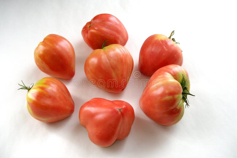 Heart Tomatoes - Special Sort royalty free stock images
