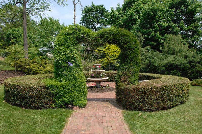 Heart topiary royalty free stock images