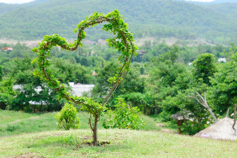 Heart tree with love stock image
