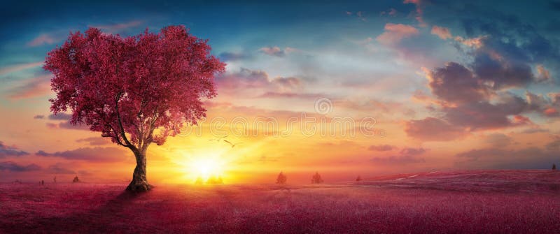 Heart Tree - Love for Nature - Red Landscape Stock Photo - Image ...
