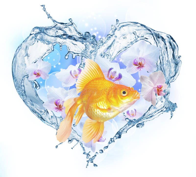 502 Water Splash Christmas Tree Stock Photos Free & RoyaltyFree