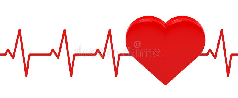 normal heartbeat at 10 weeks normal heartbeat at 10 weeks