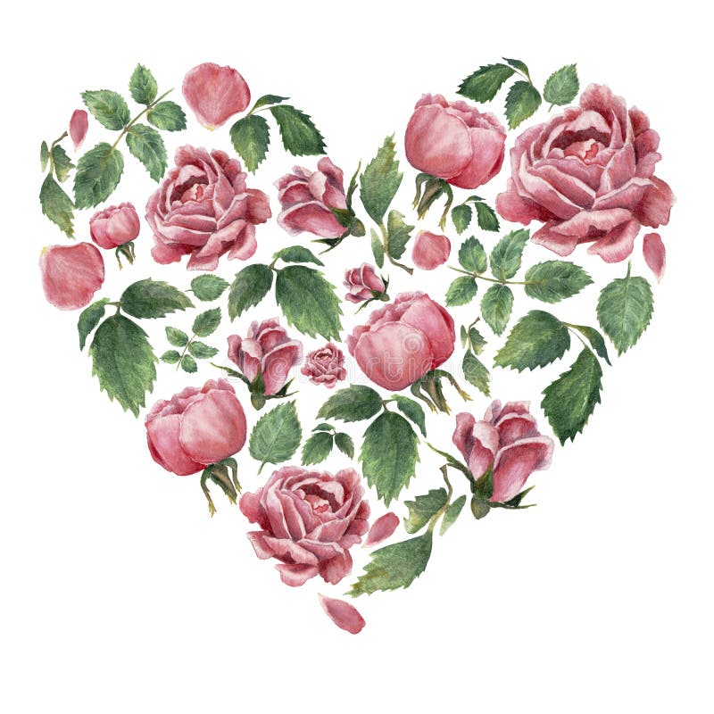 Heartshaped form filled with pink blooming roses and leaves vector illustration Heartshaped form filled with pink blooming roses and leaves vector illustration