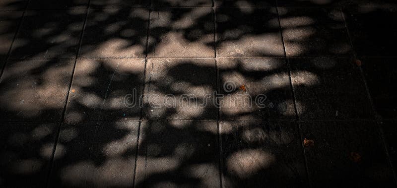 514 Midday Shadows Photos - Free & Royalty-Free Stock Photos from ...