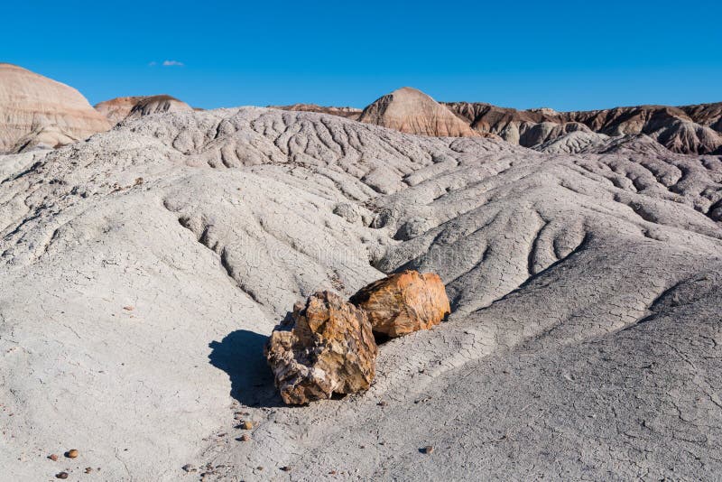 Heavily eroded arid desert landscape and petrified wood rocks in Petrified Forest National Park, Arizona stock photo Heavily eroded arid desert landscape and petrified wood rocks in Petrified Forest National Park, Arizona stock photo